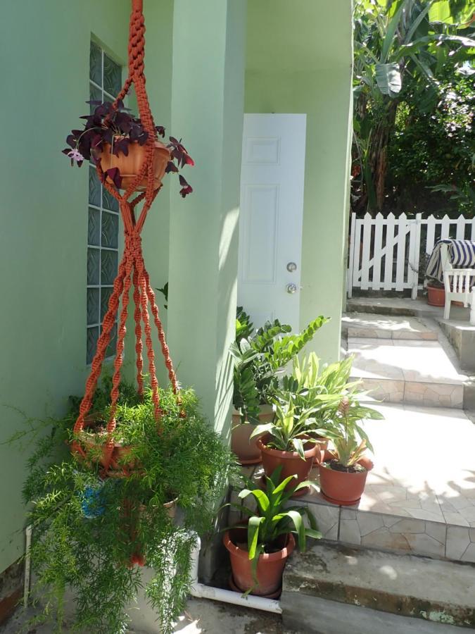 Urban Oasis Apartment Castries Ngoại thất bức ảnh
