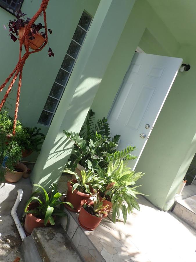 Urban Oasis Apartment Castries Ngoại thất bức ảnh